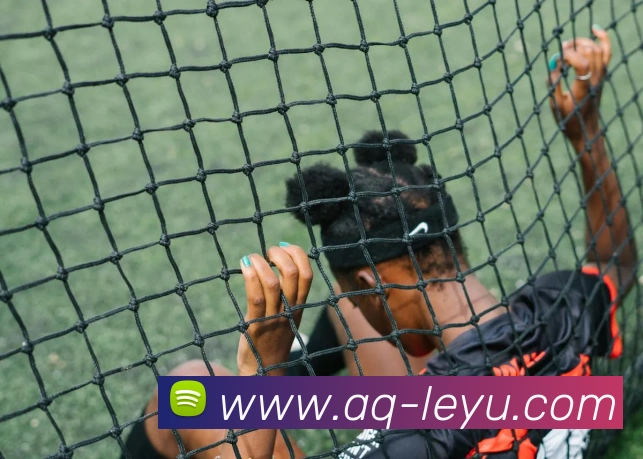 乐鱼体育平台生态图