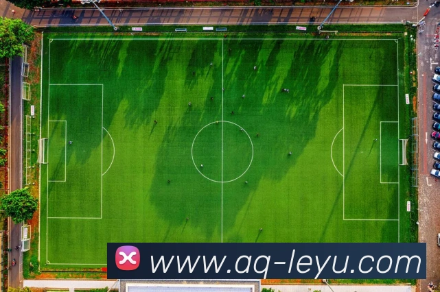 乐鱼体育全站App